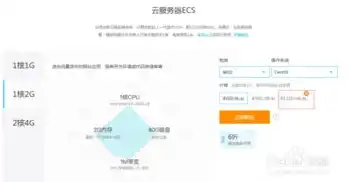 虚拟云主机与ecs，深入解析，ECS服务器与虚拟主机的差异与优劣