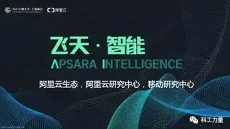 阿里轻量化云服务器推荐什么，阿里云轻量化云服务器深度评测，性能卓越，性价比高，轻松应对各类业务需求