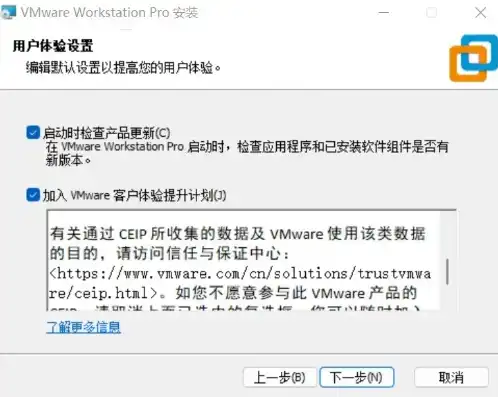 vmware试用版是什么意思，VMware虚拟机试用版安装全攻略，轻松上手虚拟化技术