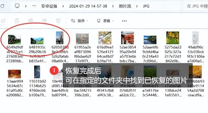 vps云主机租用技巧与方法，深度解析VPS云主机租用技巧与方法，助你高效利用云端资源