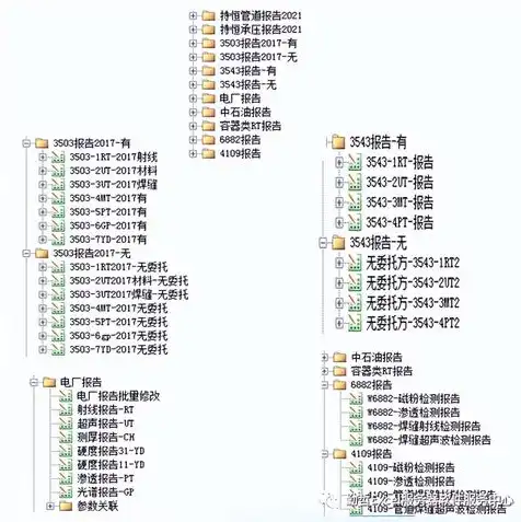 云服务器存储数据，云服务器文件对象存储规格选择指南，如何合理选择合适的存储格式