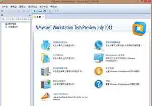 vmware虚拟机中文破解版，官方版VMware虚拟机破解版下载免费破解版，带你轻松畅游虚拟世界！