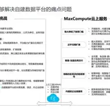 阿里云服务器迁移到专用网络怎么办，阿里云服务器迁移到专用网络的详细攻略与注意事项