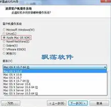 mac如何卸载虚拟机中的win10系统，mac系统中彻底卸载VMware虚拟机及Windows 10系统的详细步骤