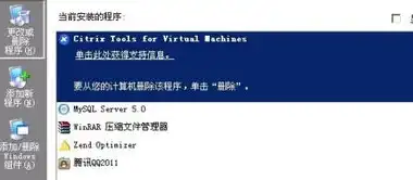 vps主机控制面板打不开，VPS主机控制面板无法打开的排查与解决方法详解