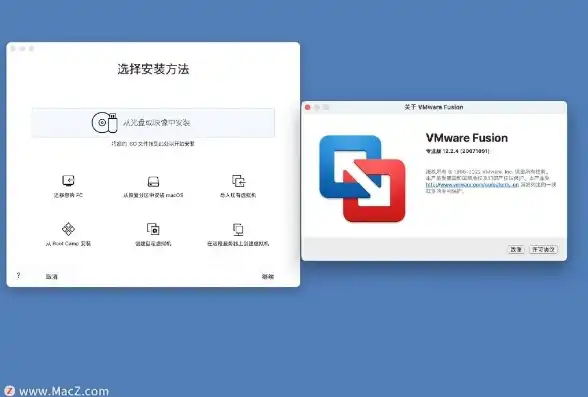 vmware虚拟机2021破解版，深度解析VMware虚拟机2021破解版防闪退解决方案，告别卡顿，畅享虚拟世界！