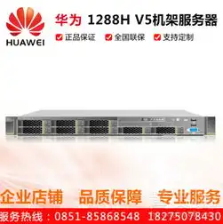 华为服务器型号2288HV5 机身型号不一样，华为服务器2288HV5，深入解析不同机身型号的特性和应用场景