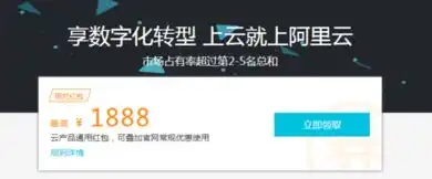 阿里服务器租用多少钱一年，2023最新阿里云服务器租用价格表解析阿里云弹性计算产品，带你详细了解一年租金及配置选择