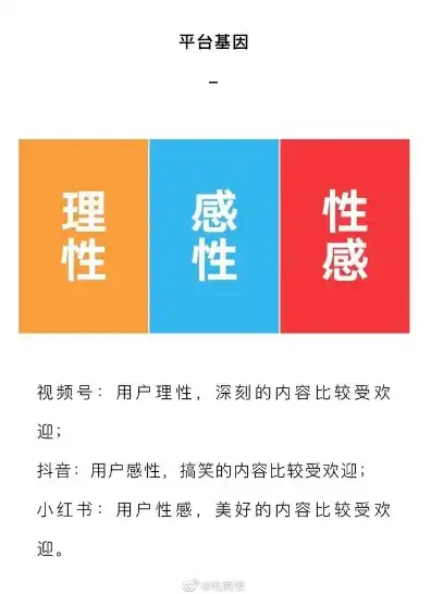 vps主机和云主机的区别在哪里啊视频，深度解析VPS主机与云主机，差异何在？全方位对比解析