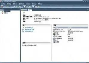 vmware的虚拟机怎么设置u盘启动，VMware虚拟机U盘启动设置教程，轻松实现U盘启动功能