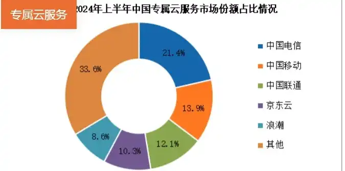 云服务器 租用，2024年云服务器租用哪家好？深度解析五大主流云服务商优劣势