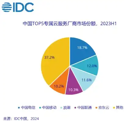 云服务器供应商排名前十有哪些公司，2023年云服务器供应商排名前十，解析行业翘楚与未来发展