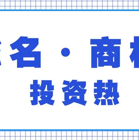 域名注册商是什么公司名称，深入解析域名注册商，揭秘其公司背景、业务模式与市场地位