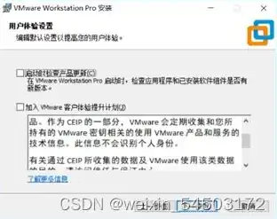 vmware15虚拟机许可证密钥，VMware 16虚拟机许可证密钥获取攻略，兼容性解析及激活方法详解