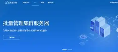 云服务器是什么?，云服务器，揭秘其功能与应用领域，助力企业数字化转型