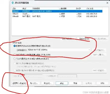 vmware虚拟机网络连接不上，深入解析VMware虚拟机网络连接问题及解决方案