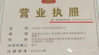 域名注册公司营业执照，深入解析域名注册公司营业执照，揭秘行业合规与发展前景