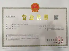 域名注册公司营业执照，深入解析域名注册公司营业执照，揭秘行业合规与发展前景