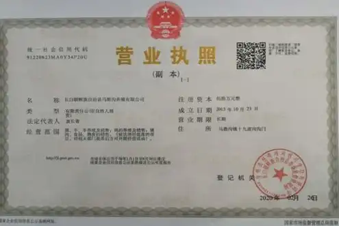 域名注册公司营业执照，深入解析域名注册公司营业执照，揭秘行业合规与发展前景