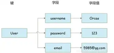 对象存储包括哪些类型呢图片大全，全面解析对象存储类型，图片分类大全详解