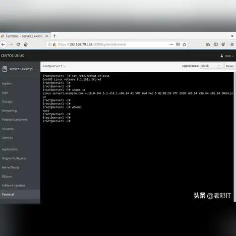 云主机 linux，云主机CentOS连接指南，详尽操作步骤与实用技巧解析