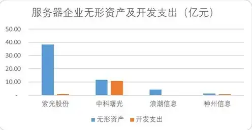 服务器是无形资产还是固定资产呢，服务器，无形资产还是固定资产？深入探讨其归属与会计处理