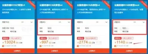 租一个5000g的云服务器贵吗，租用5000G云服务器，价格解析与性价比考量