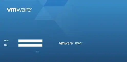 虚拟机vmware怎么设置中文，VMware虚拟机设置中文环境的详细教程