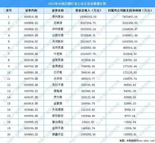 国产服务器厂商排名，2023年中国国产服务器厂商排名及市场分析，创新驱动，国产服务器崛起之路