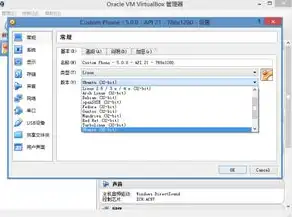 virtualbox从电脑往虚拟机复制文件，VirtualBox虚拟机与主机复制粘贴技巧，轻松实现文件共享与数据同步