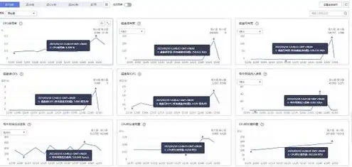 云服务ecs实例类型是什么，云服务ECS实例类型深度解析，性能、应用场景与选择指南