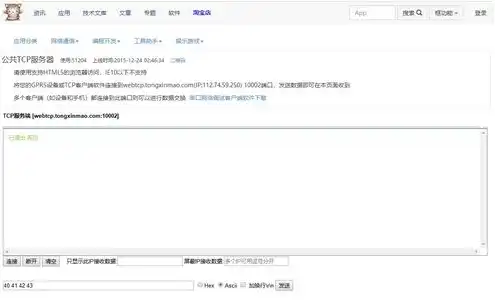 域名绑定公网ip，2023最新域名绑定公网IP教程，轻松实现网站在线访问