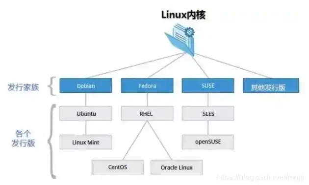 服务器操作系统有哪些版本的，深入解析服务器操作系统版本，从Windows Server到Linux发行版