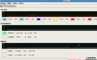 linux vps，Linux VPS主机选购指南，从入门到精通