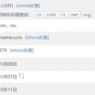 域名注册查询工具，域名注册查询平台的功能与用途详解，助力企业高效选择优质域名