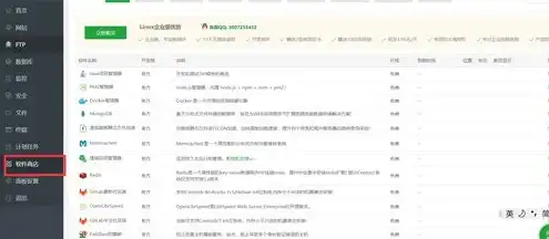 阿里云服务器购买完怎么配置，阿里云服务器入门指南，购买后的详细配置教程详解