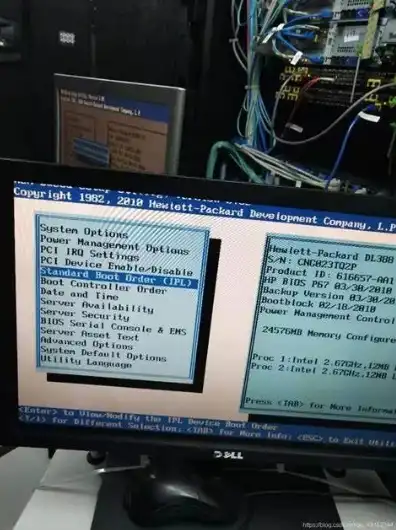 戴尔服务器bios启动项，戴尔T30服务器BIOS启动项详解及操作指南