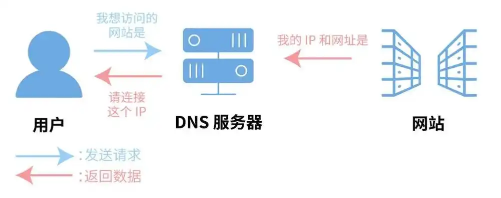 通过域名查询注册人信息，深入解析通过域名查询注册人，揭秘网络身份识别之道