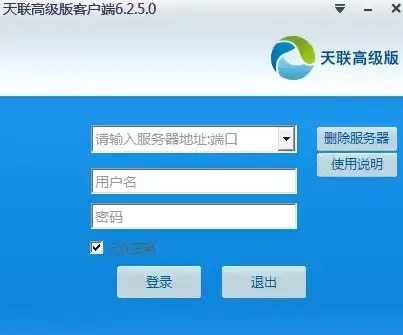 天联高级版服务器端怎么用，深入解析天联高级版服务器端，全面掌握其使用方法与技巧