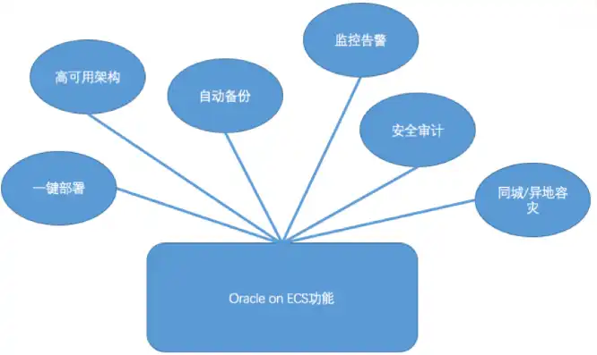 oracle云服务器免费，深入解析Oracle云服务器免费版，企业级云服务的实惠之选