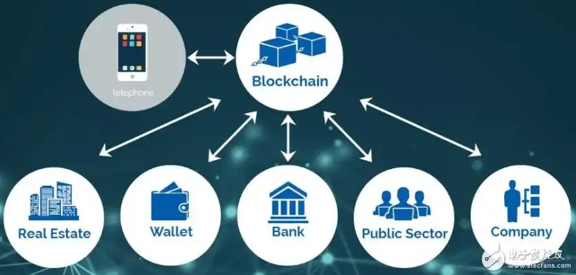 云主机 checkcabl，云主机Chia，探索高效、环保的区块链计算平台