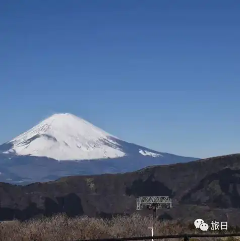 日本樱花云服务器免费网站体验，畅享云端之美，尽享樱花盛宴