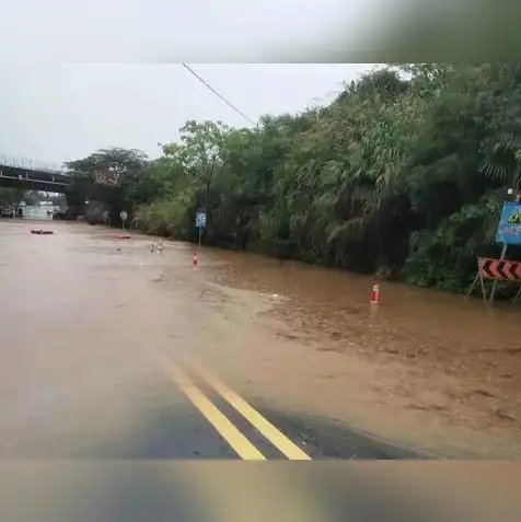 暴雨网络官网，暴雨云服务器性价比解析，深度评测及价格揭秘