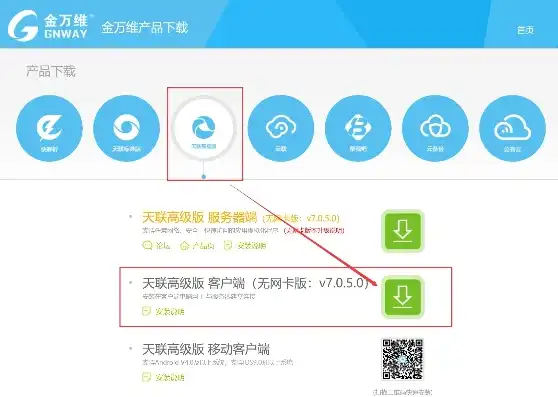 金万维天联客户端，金万维天联高级服务器深度解析，功能、优势及实战应用详解