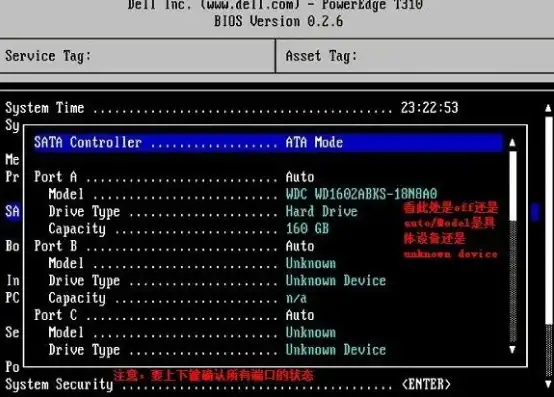 戴尔t310服务器bios，戴尔T310服务器BIOS设置与配置详解