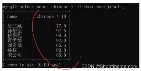 数据库服务器选型有哪些类型，数据库服务器选型指南，全面解析各类数据库服务器及其适用场景