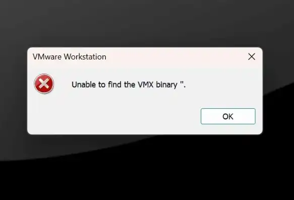 虚拟机启动找不到vmx二进制文件，深入解析虚拟机启动找不到vmx二进制文件的问题及解决方案