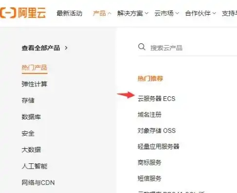 阿里云服务器哪里购买，阿里云服务器购买指南，一站式选购攻略，助您轻松开启云端之旅