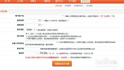 申请免费vps云主机，揭秘免费VPS云主机，申请攻略与实战心得分享