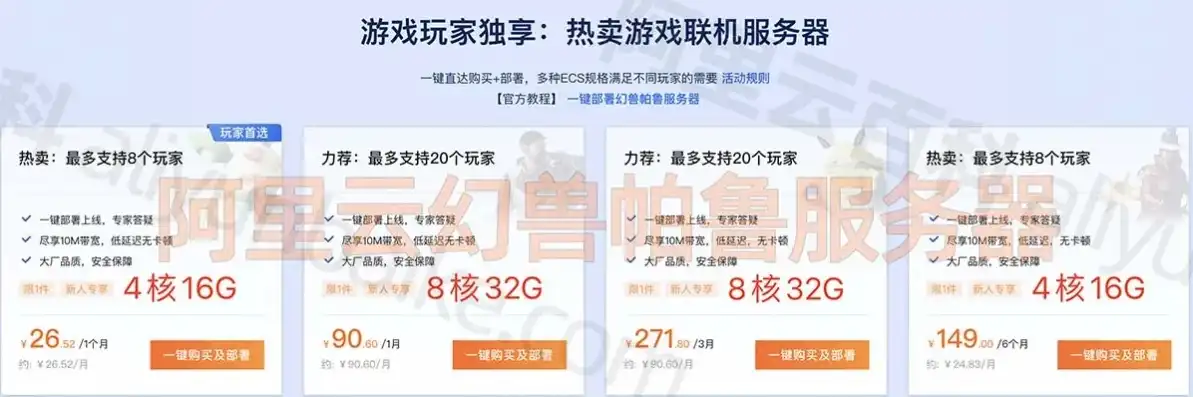 幻兽帕鲁服务器多少钱一个，幻兽帕鲁服务器价格解析，揭秘不同类型服务器的价格差异及性价比